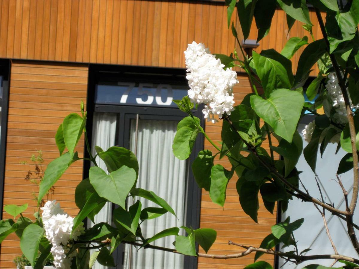 Studio-apartment In City-center Apartment *